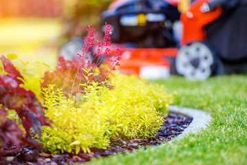 Lawn Maintenance service discontinued